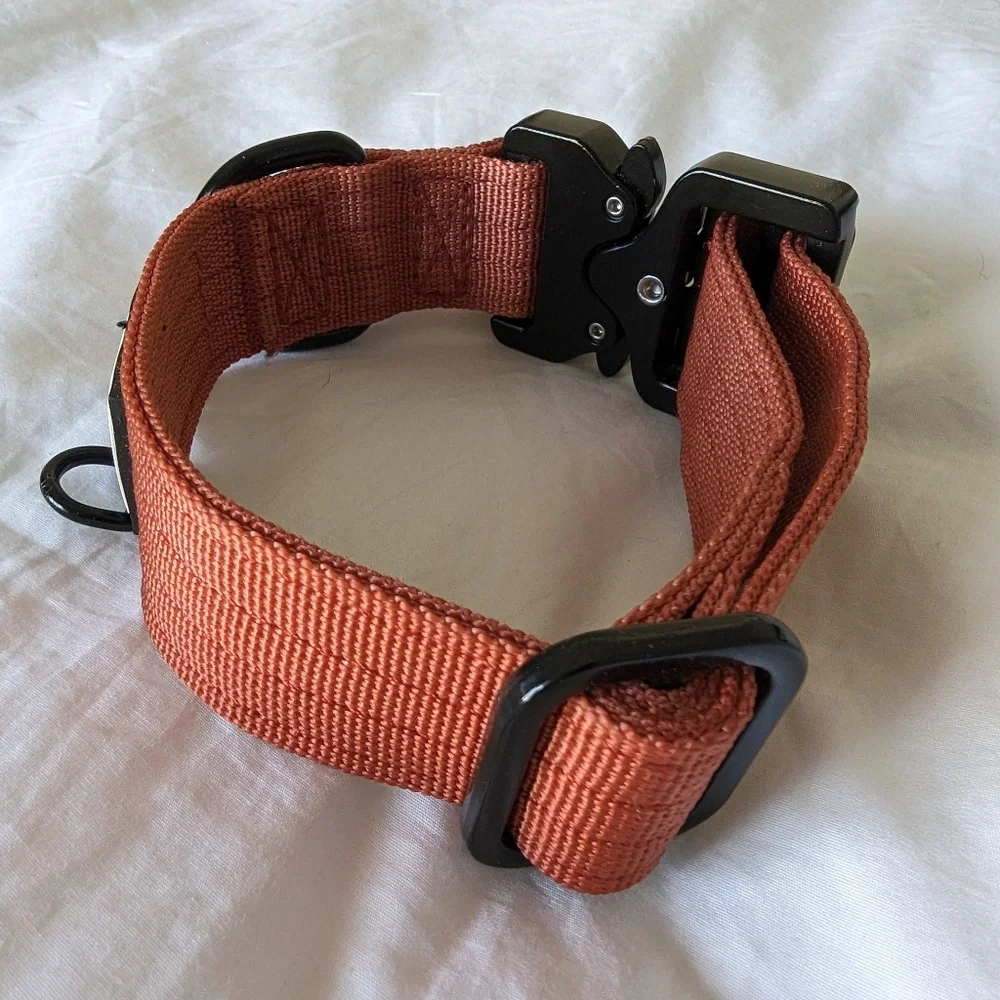 Roam Dog Collar Heavy Duty For Small & Medium Dogs